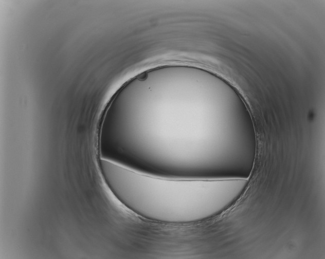 X0000091561531200708171051