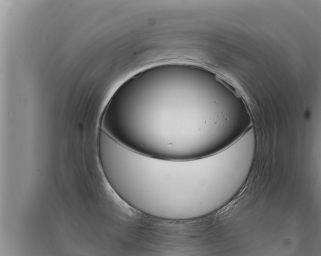 X0000091561532200708171051