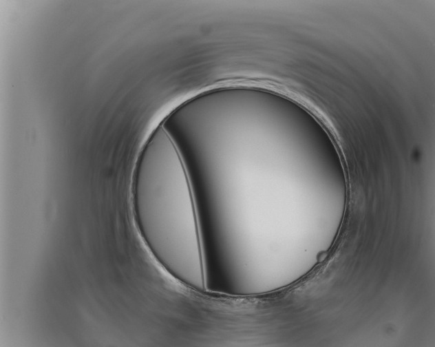 X0000091561533200708171051