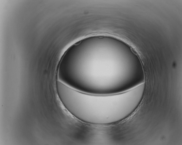 X0000091561534200708171051