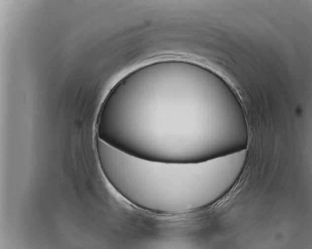 X0000091561535200708171051