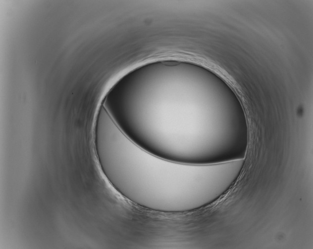 X0000091561536200708171051