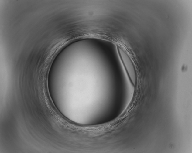 X0000091560001200708171335