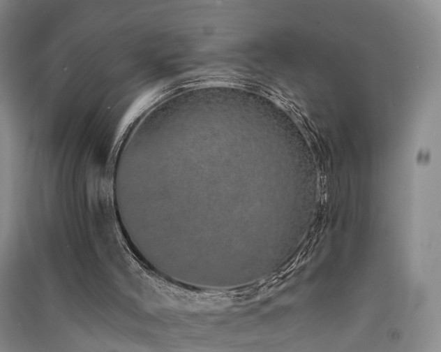 X0000091560004200708171335