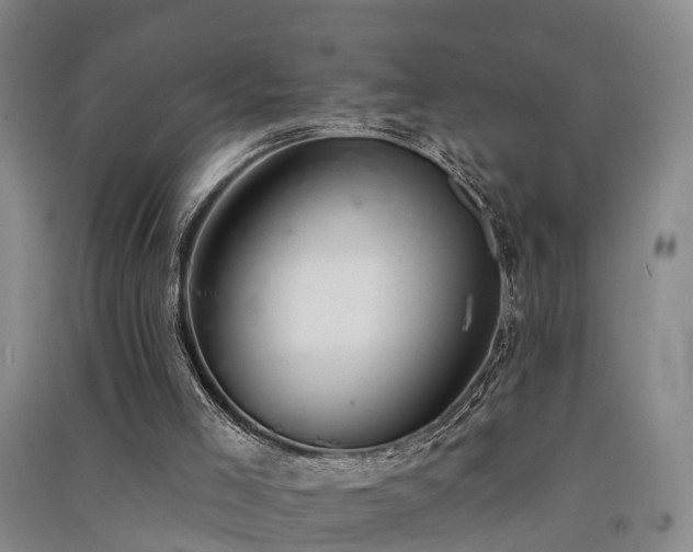 X0000091560005200708171335