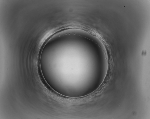 X0000091560007200708171335