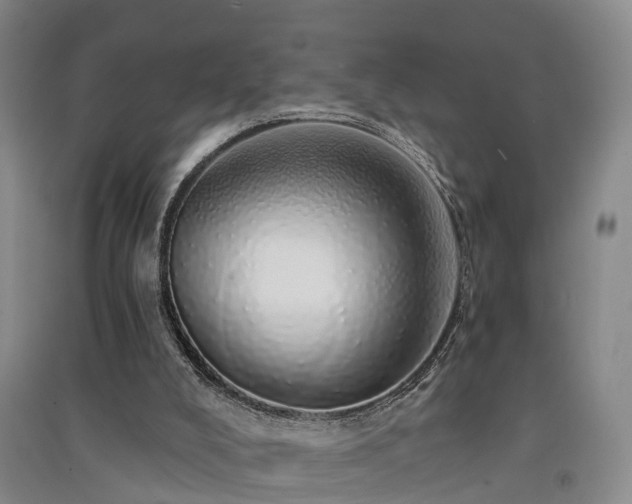 X0000091560008200708171335