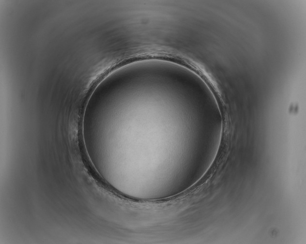 X0000091560010200708171335