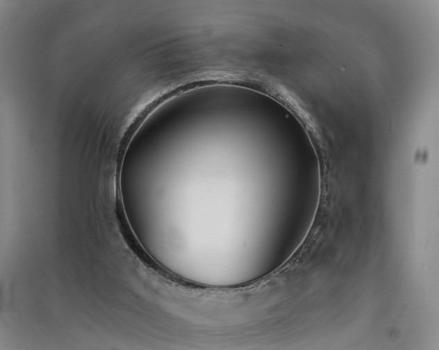 X0000091560011200708171335