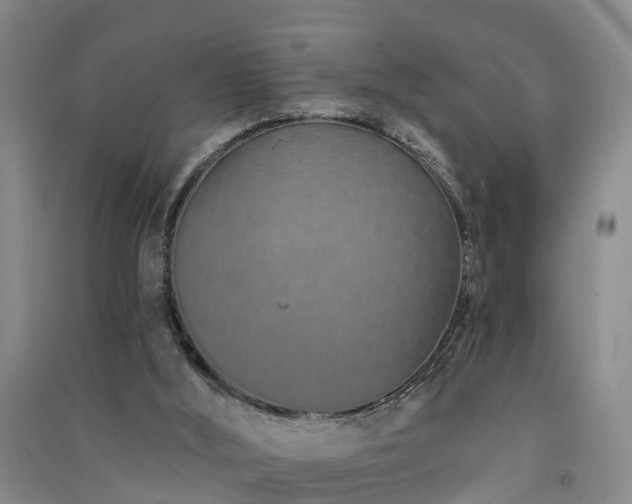 X0000091560012200708171335