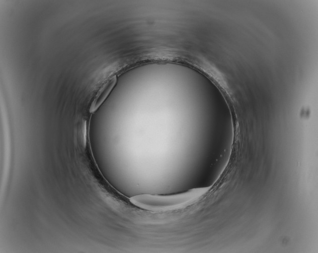 X0000091560013200708171335