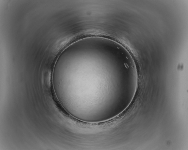 X0000091560014200708171335