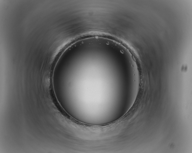 X0000091560015200708171335