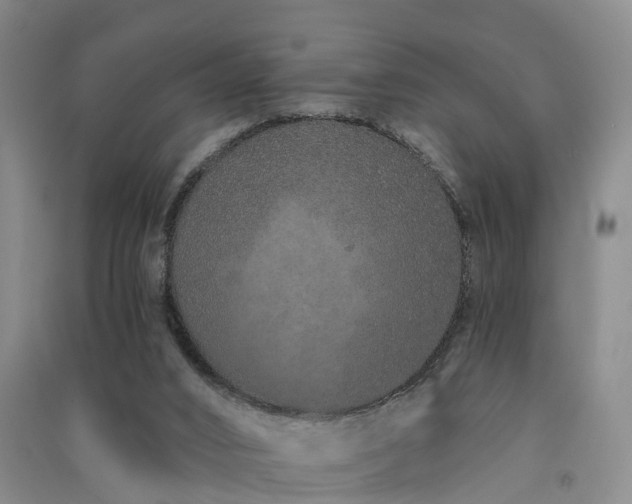 X0000091560016200708171335