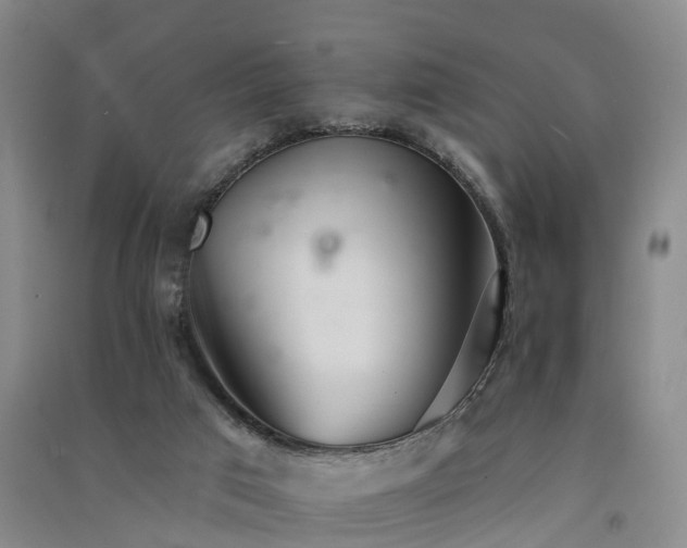 X0000091560017200708171335