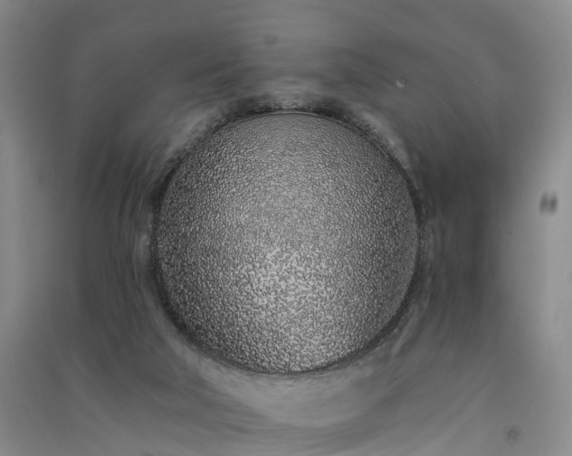 X0000091560018200708171335