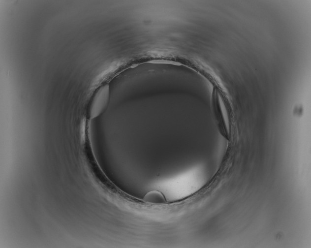 X0000091560019200708171335