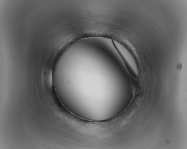 X0000091560020200708171335