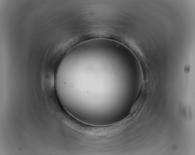 X0000091560021200708171335