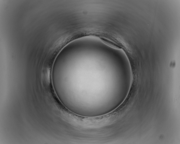 X0000091560022200708171335