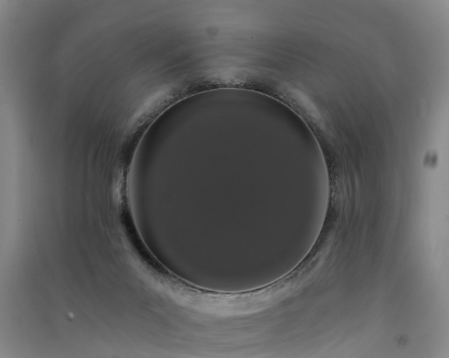 X0000091560023200708171335