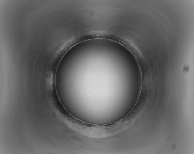 X0000091560024200708171335