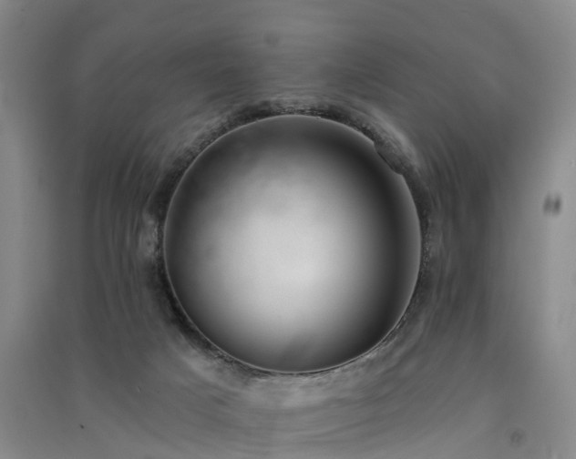 X0000091560025200708171335