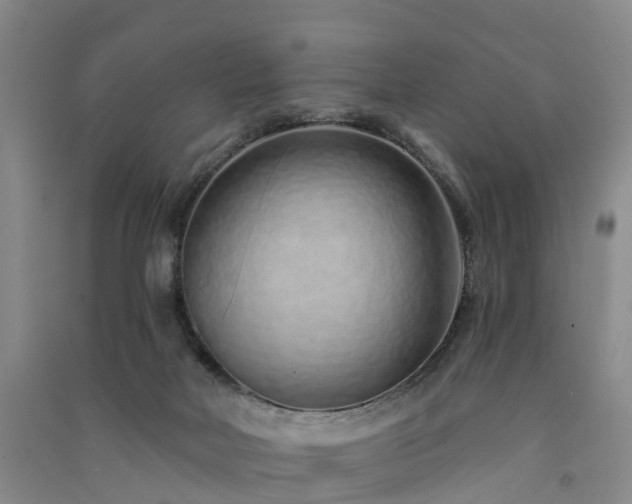 X0000091560026200708171335