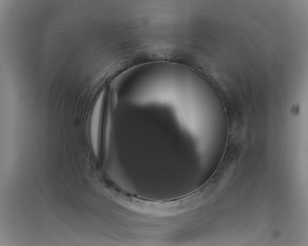 X0000091560027200708171335