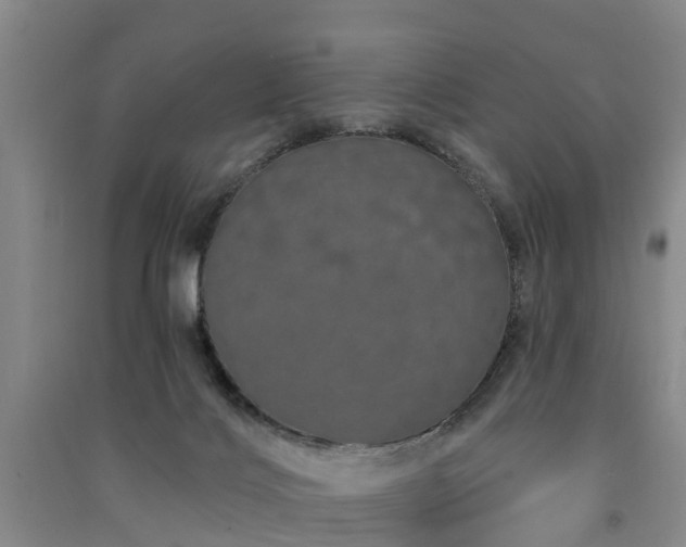 X0000091560028200708171335