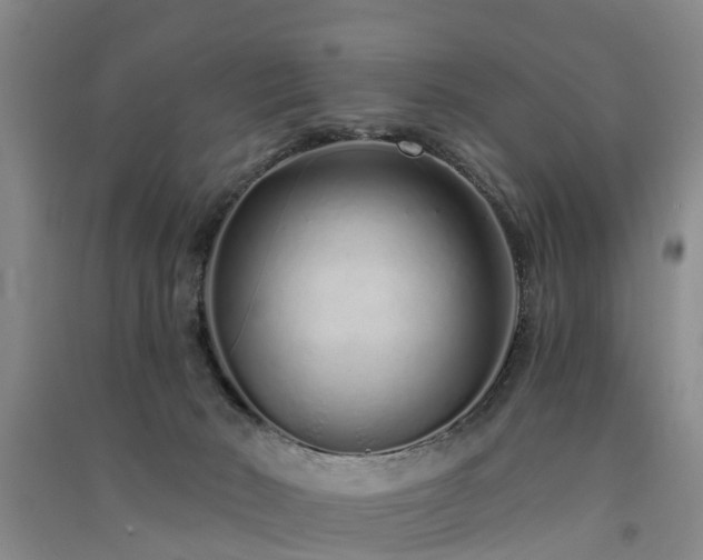 X0000091560030200708171335