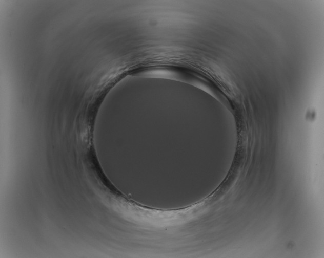 X0000091560031200708171335