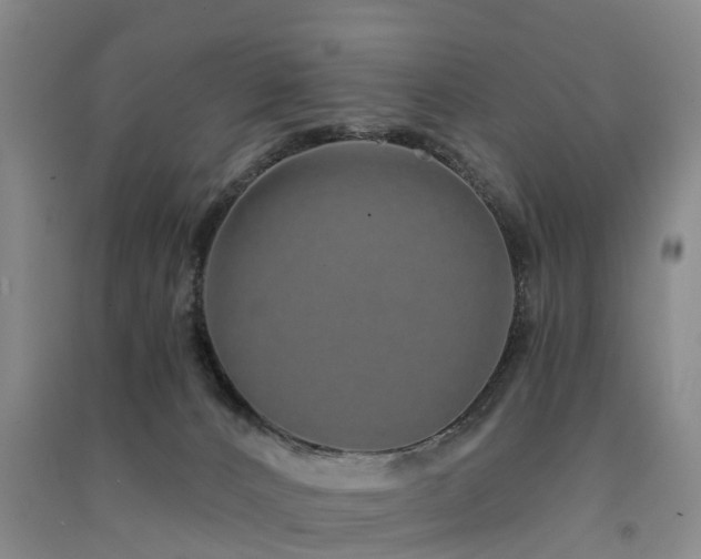 X0000091560032200708171335