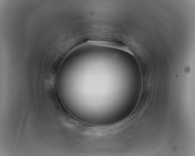 X0000091560033200708171335