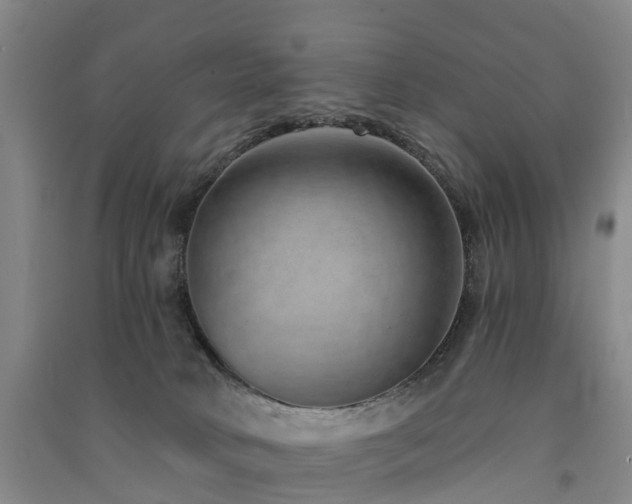 X0000091560034200708171335