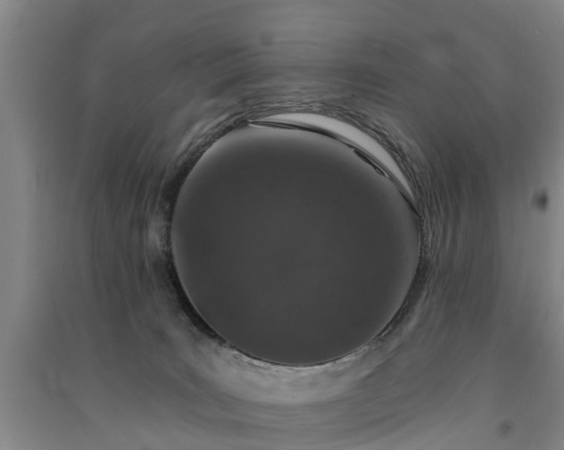 X0000091560035200708171335