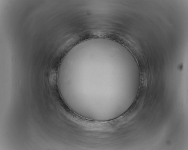 X0000091560036200708171335