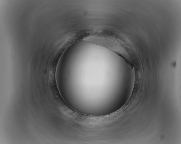 X0000091560037200708171335