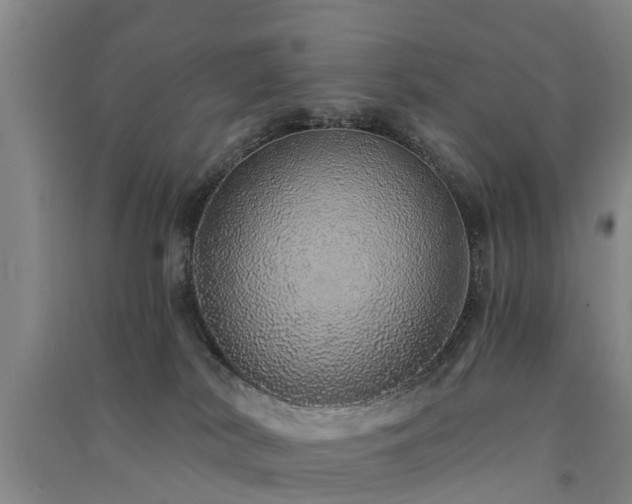 X0000091560038200708171335