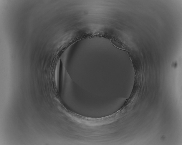 X0000091560039200708171335