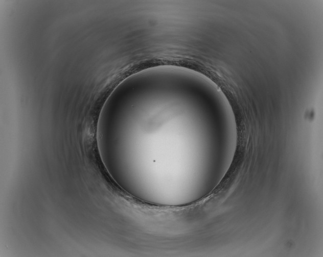 X0000091560040200708171335