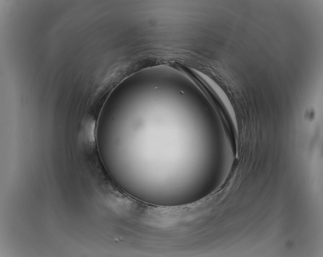 X0000091560041200708171335