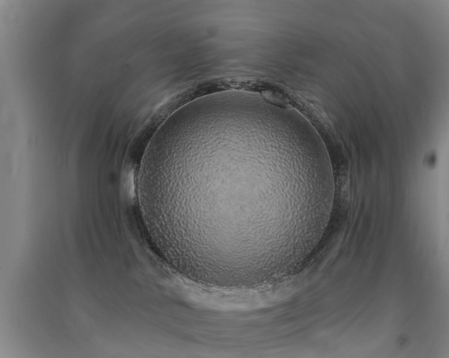 X0000091560042200708171335