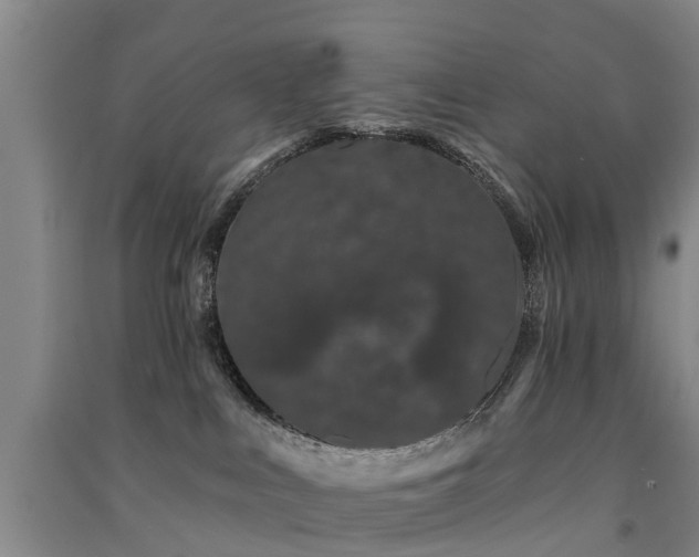 X0000091560043200708171335