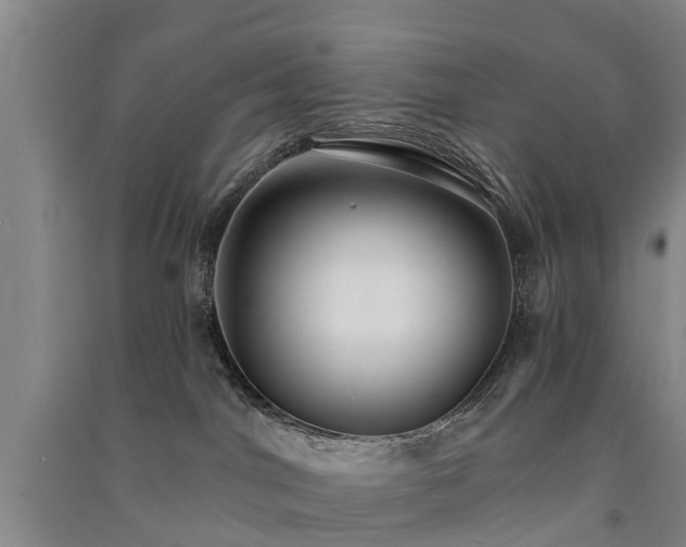 X0000091560044200708171335