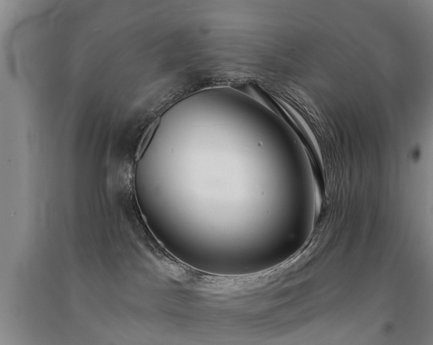 X0000091560045200708171335