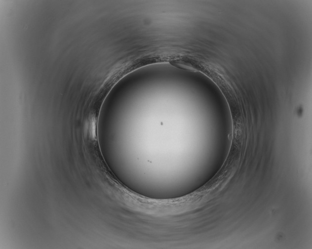 X0000091560046200708171335