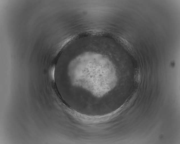 X0000091560047200708171335