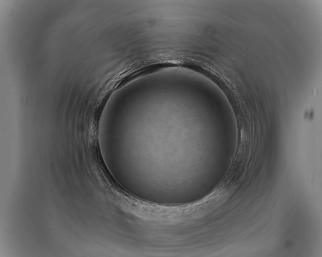 X0000091560048200708171335