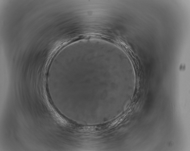 X0000091560049200708171334